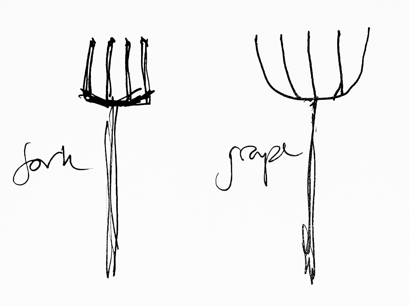 a comparison of a garden fork and a graip by my mum